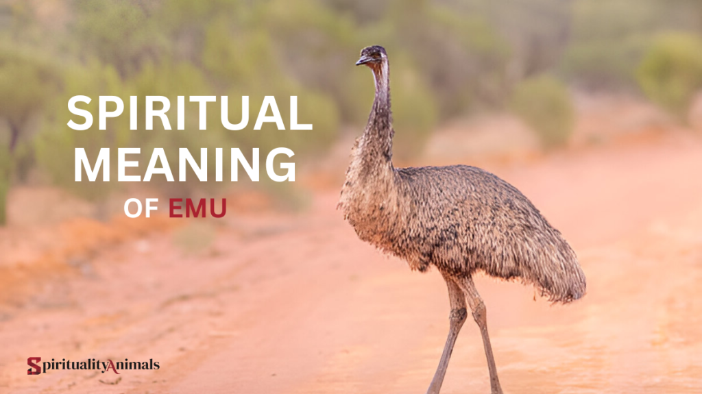 Spiritual Meaning of Emu