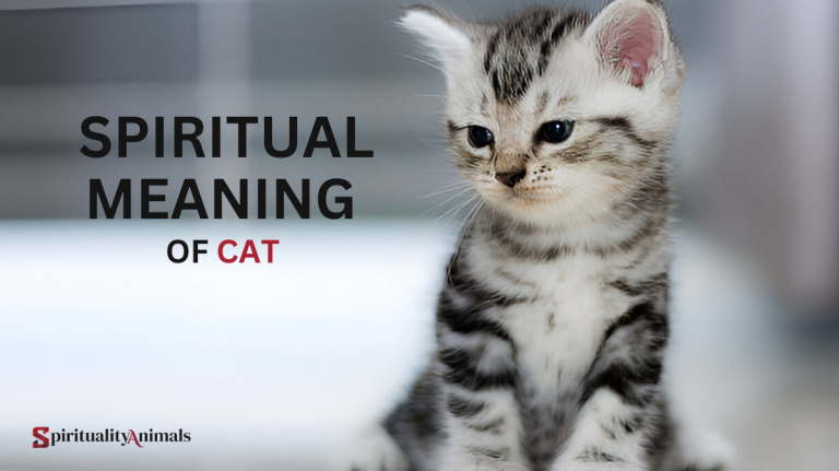 Spiritual Meaning of Cat