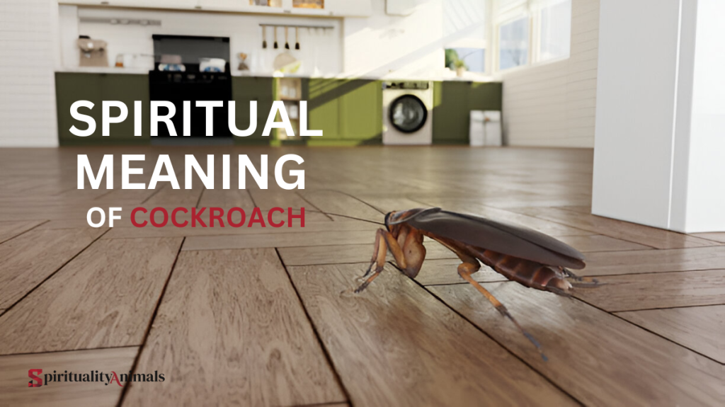 Spiritual Meaning of Cockroach