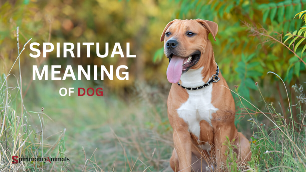 Spiritual Meaning of Dog