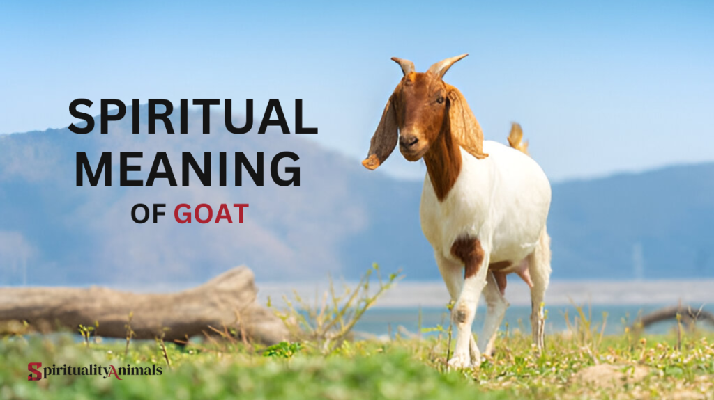 Spiritual Meaning of Goat