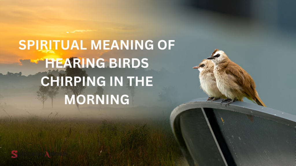 Spiritual Meaning of Hearing Birds Chirping in the Morning