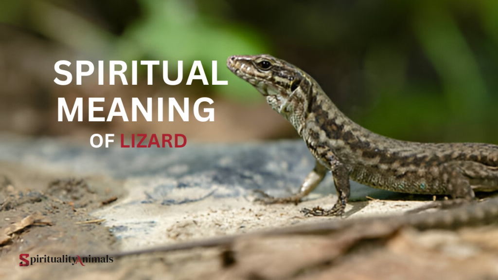 Spiritual Meaning of Lizard