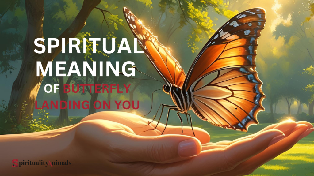 What Does It Mean Spiritually When a Butterfly Lands on You