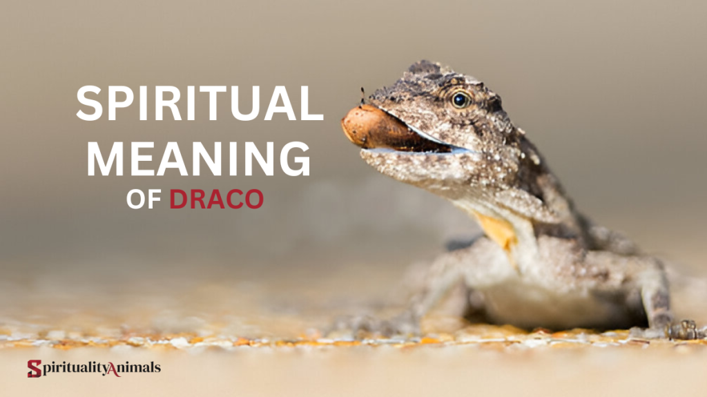 Spiritual Meaning of Draco
