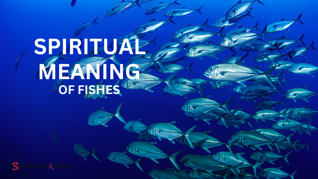 Spiritual Meaning of Fishes