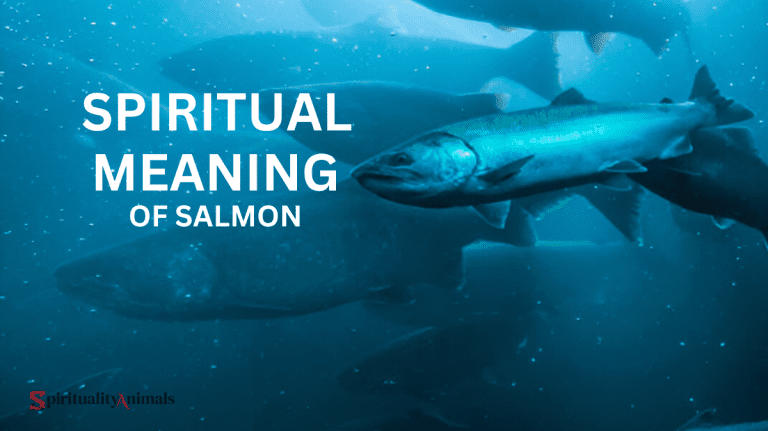 Spiritual Meaning of Salmon