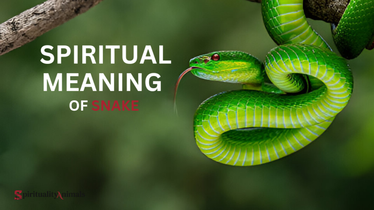 Spiritual Meaning of Snake