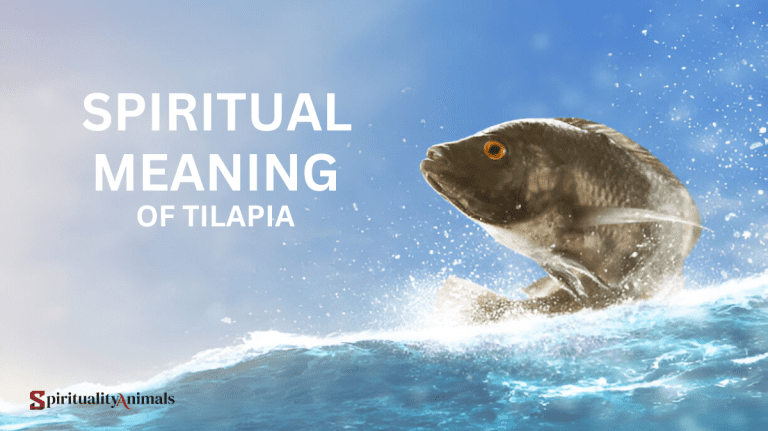 Spiritual Meaning of Tilapia