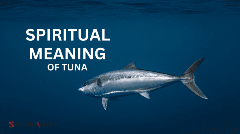 Spiritual Meaning of Tuna